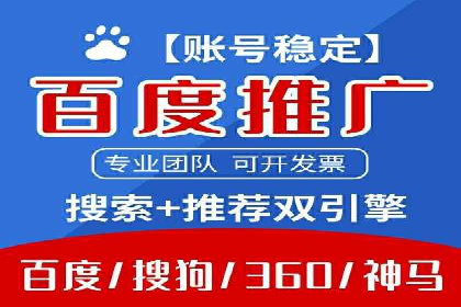 电商SEM推广案例解析